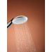 Душевой гарнитур хром Tempesta 110 Grohe 27924003